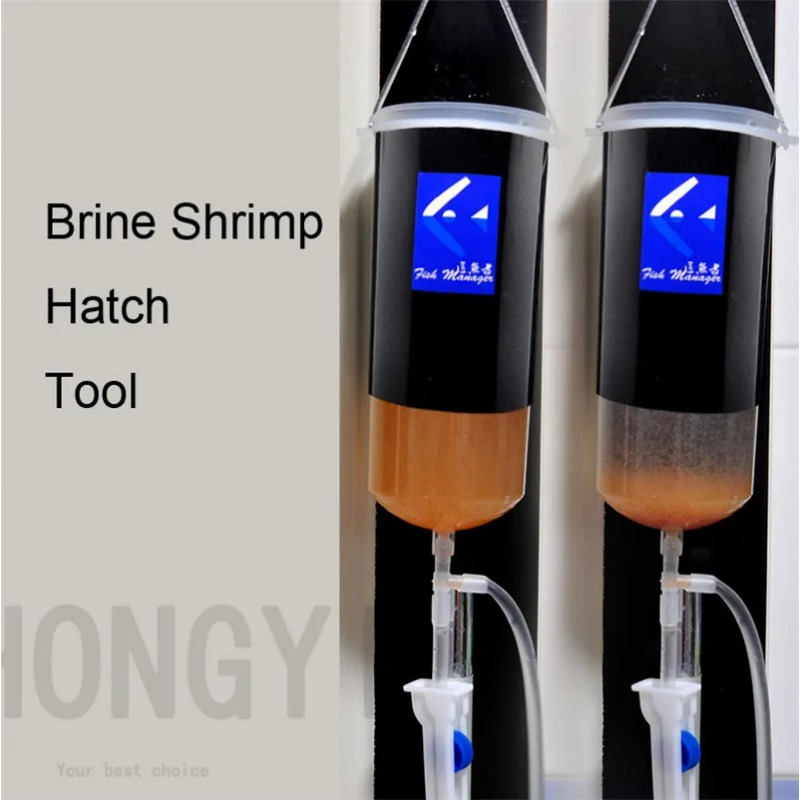 Baby Food Shrimp - Cổ Tích tôm trứng Artemia sống