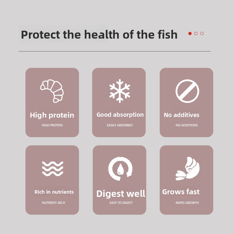 PENISON Powder Baby Fish Food, - đánh giá và giá Baby Food High In Protein