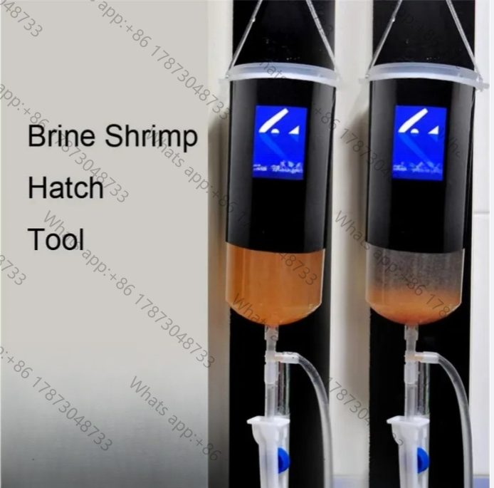 Fairy shrimp egg artemia alive - đánh giá và giá Baby Food Shrimp