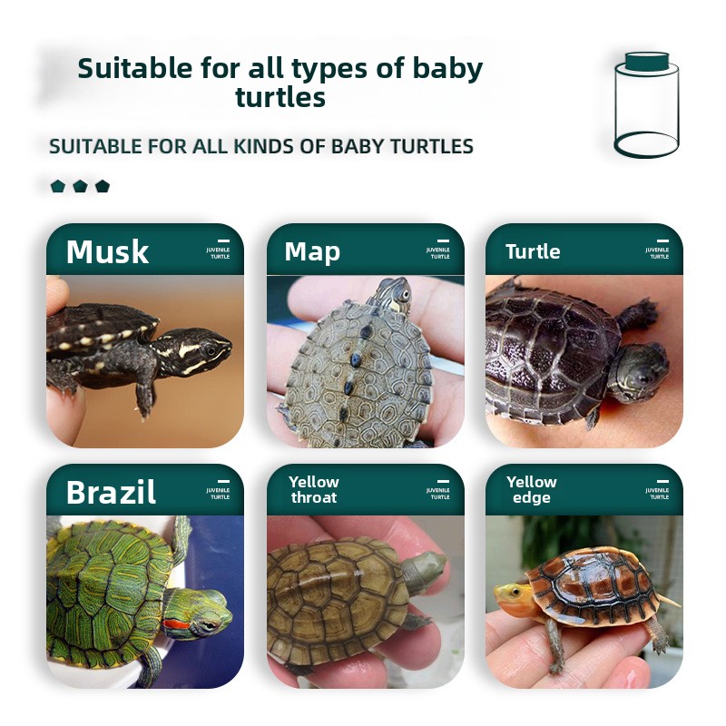 BESSN All-Stage Turtle Food wi - đánh giá và giá Baby Food Shrimp