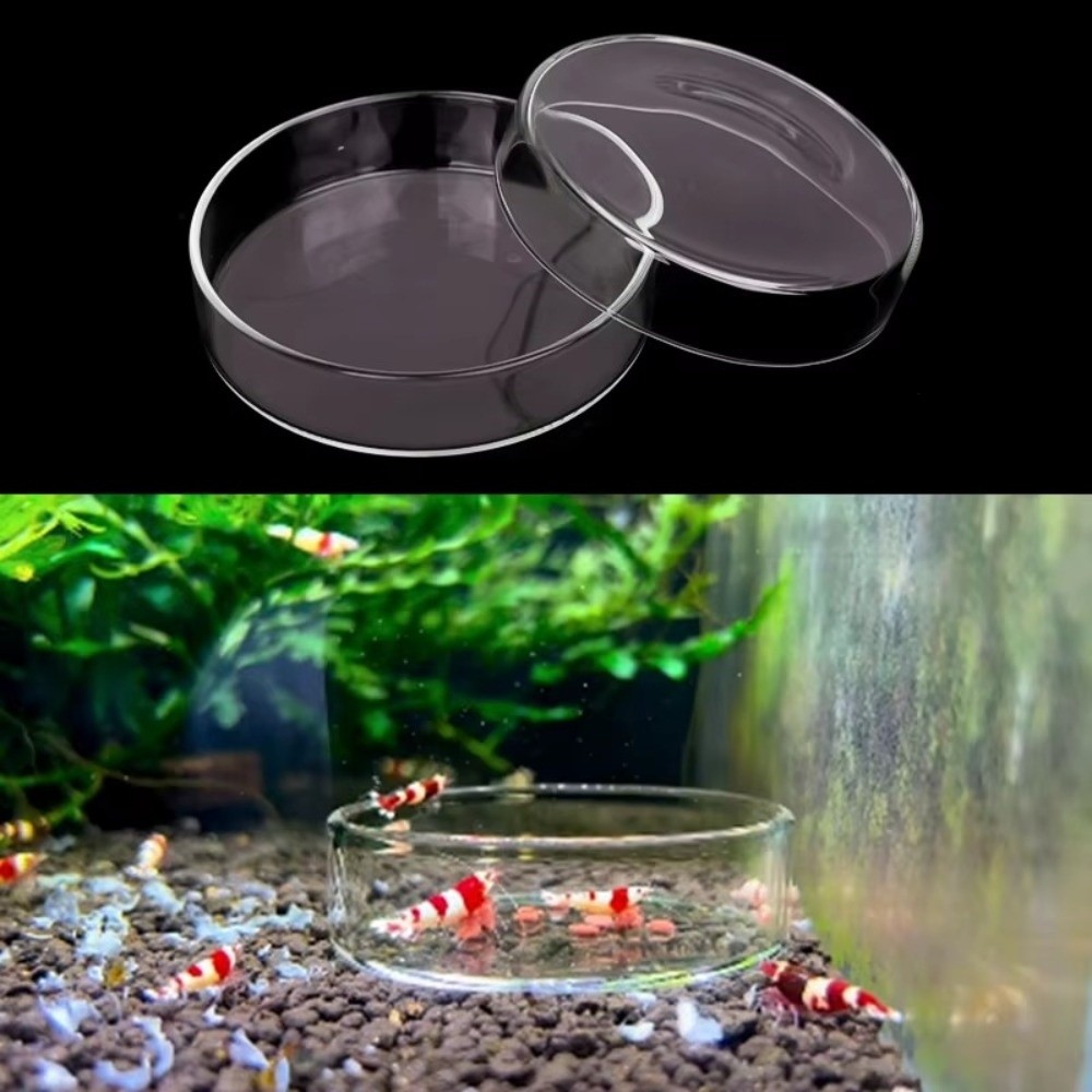 Glass Aquarium Feeding Bowl Du - đánh giá và giá Baby Food Shrimp