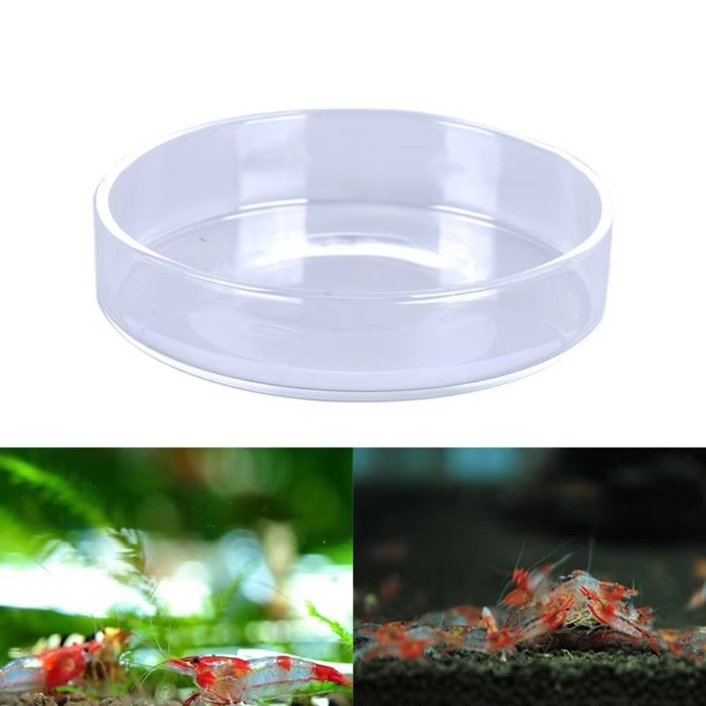 Glass Aquarium Feeding Bowl Du - đánh giá và giá Baby Food Shrimp